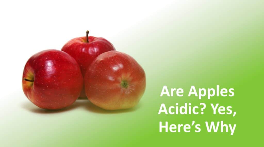 The Most Common Acidic Foods to Avoid