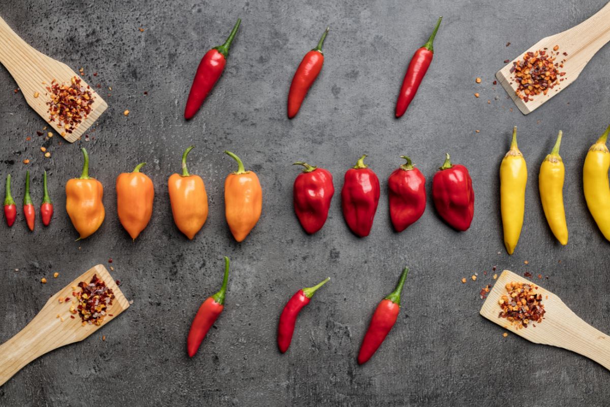 The Scoville Scale: How Spicy is Spicy?